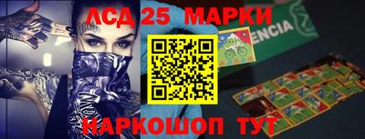 PSILOCYBIN Гатчина