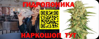 мдпв Гагарин